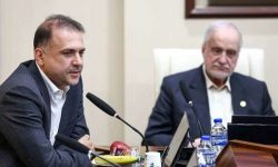مدیرعامل شرکت ملی مس: بهرهمندی راهبردی از ظرفیت فرهنگستان علوم در توسعه صنعت مس
