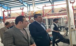 بازدید مدیران ارشد بانک توسعه صادرات ایران از شرکت کلور