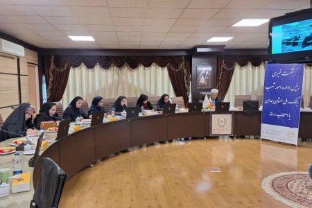 حمایت بانک ملی همدان از سرمایه‌گذاران برای توسعه نیروگاه‌های خورشیدی