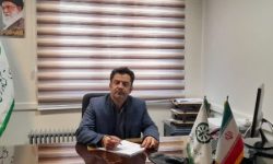 توزیع کودهای کشاورزی در استان همدان 225 درصد افزایش یافت