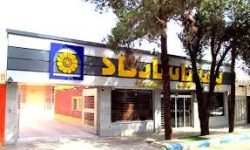 تحقق اهداف صدور و فروش بیمه‌نامه زندگی در بیمه پاسارگاد؛ تبلور خودباوری