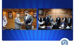 مدیرعامل بانک تجارت: حمایت از صنعت پتروشیمی تضمین کننده توسعه اقتصادی کشور است