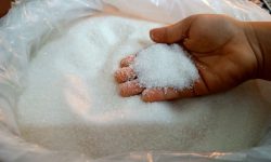 شکر در بازار کمیاب شد/ قیمت کالاهای اساسی؛ امروز 8 خردادماه