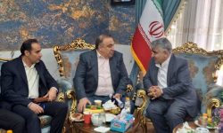 گسترش تعاملات صبانور در راستای استراتژی توسعه