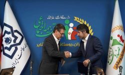 انعقاد تفاهم نامه همکاری صندوق و بیمه سلامت