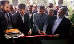 مدیرعامل بانک ملی ایران: آیین نامه تامین مالی صنعت نساجی تا دو هفته آینده ابلاغ می شود