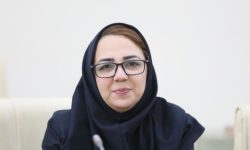 رکود در بازار ارز؛ معاملهگران محتاطانه نظارهگر تحولات