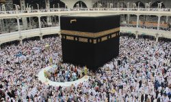 فوری/ ویزای همه زائران ایرانی حج 1404 قطعی شد