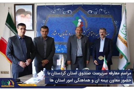 امجد حسین پناهی؛ سرپرست جدید صندوق استان کردستان