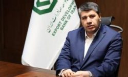 پیام مدیرعامل بانک توسعه صادرات ایران به مناسبت هفته دولت