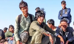 هشدار؛ اجاره ملک به این افراد ممنوع!