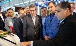 توسعه سامانه های برخط؛ یاقوت بیمه البرز درخشنده تر شد