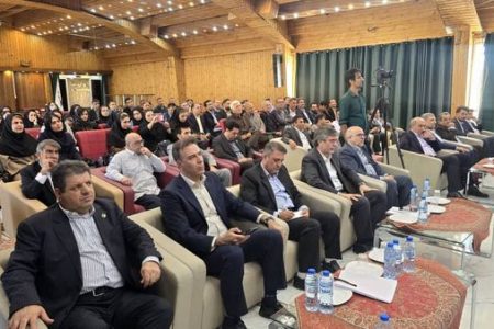 حذف شرط پرتفوی مثبت برای تمدید پروانه شبکه نمایندگان بیمه ایران