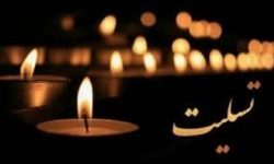 پیام تسلیت مدیرعامل بانک ملی ایران در سوگ همکاران شهید و محکومیت حمله اخیر رژیم صهیونیستی