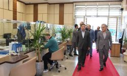 همه ظرفیت‌های بانک توسعه تعاون برای خدمت به هموطنان آماده است