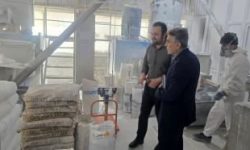 برنامه های حمایتی بانک توسعه صادرات ایران برای صنایع صادراتی استان اردبیل