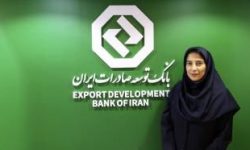 راه اندازی سامانه استعلام تعهد صادراتی بازرگانان در بانک توسعه صادرات ایران