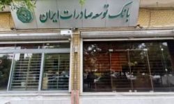 بانک توسعه صادرات ایران حامی تولیدکنندگان بزرگ با تأمین مالی هدفمند