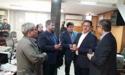 چراغ سبز بیمه دانا برای پرداخت خسارت خودروهای آسیب‌دیده