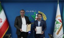 انعقاد تفاهم نامه همکاری صندوق و معاونت امور تعاون