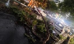 تهران در معرض طوفان تندری؛ توصیه‌های ایمنی اعلام شد