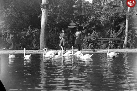 تماشای قوها در آینه زمان؛ خدمتکاران کاخ ناصری، ۱۳۰ سال پیش