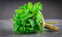 معجزه طبیعت؛ این گیاه دارویی التهاب بدن را به‌طور چشمگیری کاهش می‌دهد!