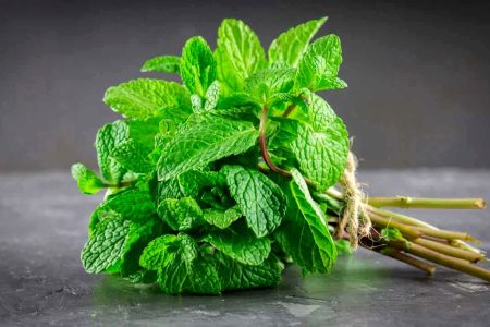 معجزه طبیعت؛ این گیاه دارویی التهاب بدن را به‌طور چشمگیری کاهش می‌دهد!