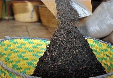 نوسانات واردات چای؛ کاهش و افزایش در آمار سال‌های اخیر