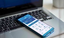 بانک توسعه تعاون؛ از افتتاح حساب تا دریافت تسهیلات، همه چیز در یک اپلیکیشن