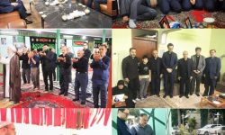 دیدار مدیر عامل بیمه دی با خانوادههای شهدای اقتدار استان مازندران