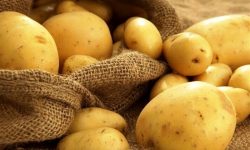 قیمت سیبزمینی امروز چند؟