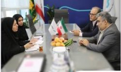 دیدار رئیس پژوهشکده بیمه با سرپرست بیمه سینا