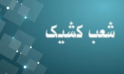 اعلام شعب کشیک بانک توسعه صادرات ایران تا پایان شهریورماه سال جاری