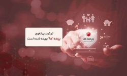 ترکیب پرتفوی بیمه ما بهینه شده است