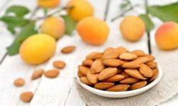 هسته زردآلو؛ از افسانه درمان سرطان تا خطر جدی مسمومیت سیانیدی
