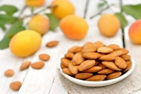 هسته زردآلو؛ از افسانه درمان سرطان تا خطر جدی مسمومیت سیانیدی