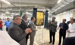 تار و پود بافت بلوچ در آغوش سرزمین نخل و آفتاب جان تازه یافت