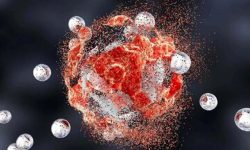 علائم هشدار سرطان دهانه رحم/ اعلام سن مناسب واکسیناسیون HPV
