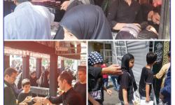 بیمه سرمد در مسیر عشق، در کنار جاماندگان اربعین حسینی