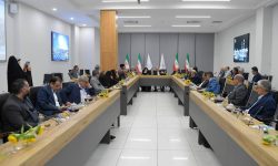 ضعف کارشناسی و اشتباه سیاستگذاری در گذشته باعث گسست عمیق در زنجیره ارزش پتروشیمی شد