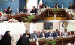 بانوی ایرانی نام محصول جدید بیمه ایران باهدف تامین آرامش زنان کشور/ ایران، پشتوانهای مطمئن برای زنان ایرانی