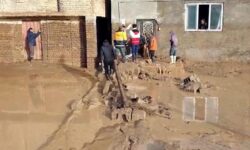 کمک ۲۶۷ میلیارد ریالی بانک مسکن به آسیب‌دیدگان حوادث طبیعی در سال جاری