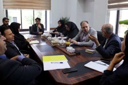 توافق صندوق احیا و صندوق بیمه روستائیان در زمینه بیمه هنرمندان صنایع دستی