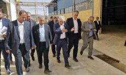 بازدید مدیرعامل بانک صنعت و معدن از 8 طرح تولیدی در استان فارس