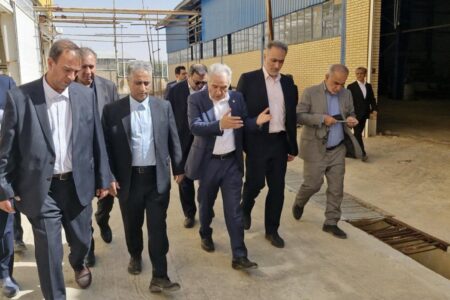 بازدید مدیرعامل بانک صنعت و معدن از 8 طرح تولیدی در استان فارس