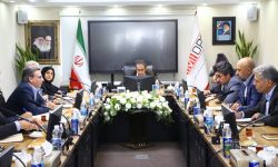 آقاجانلو: توسعه معاملات گواهی سپرده کالا حمایت از اقتصاد و تقویت تولید است