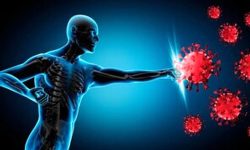 ۴ خوراکی برای تقویت سیستم ایمنی بدن که جادو می‌کنند!