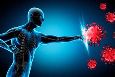 ۴ خوراکی برای تقویت سیستم ایمنی بدن که جادو می‌کنند!