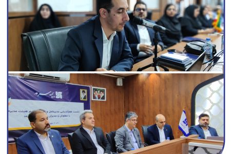 ارائه گزارش جامع برنامه‌ عملیاتی و عملکرد معاونت‌ها و مدیریت‌های مختلف بیمه سرمد